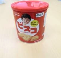 ビスコ 20缶 （卵アレルギー用）