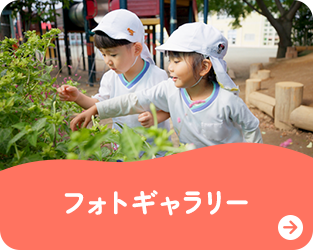 フォトギャラリー
