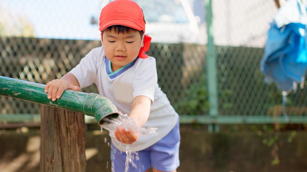 フォトギャラリー