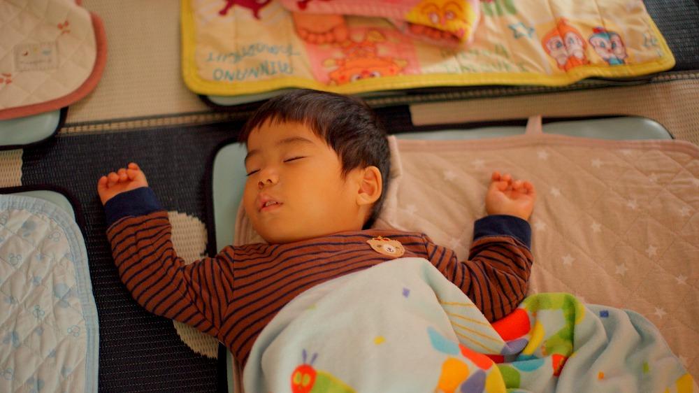 フォトギャラリー