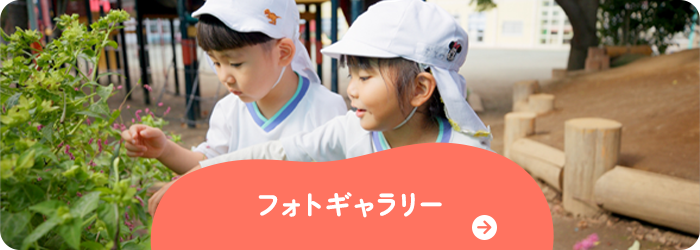 フォトギャラリー